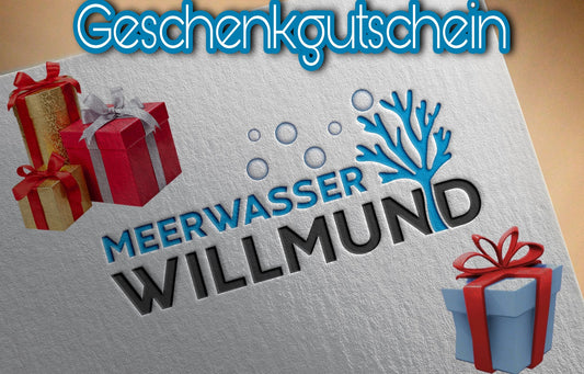 Meerwasser Willmund Geschenkgutschein