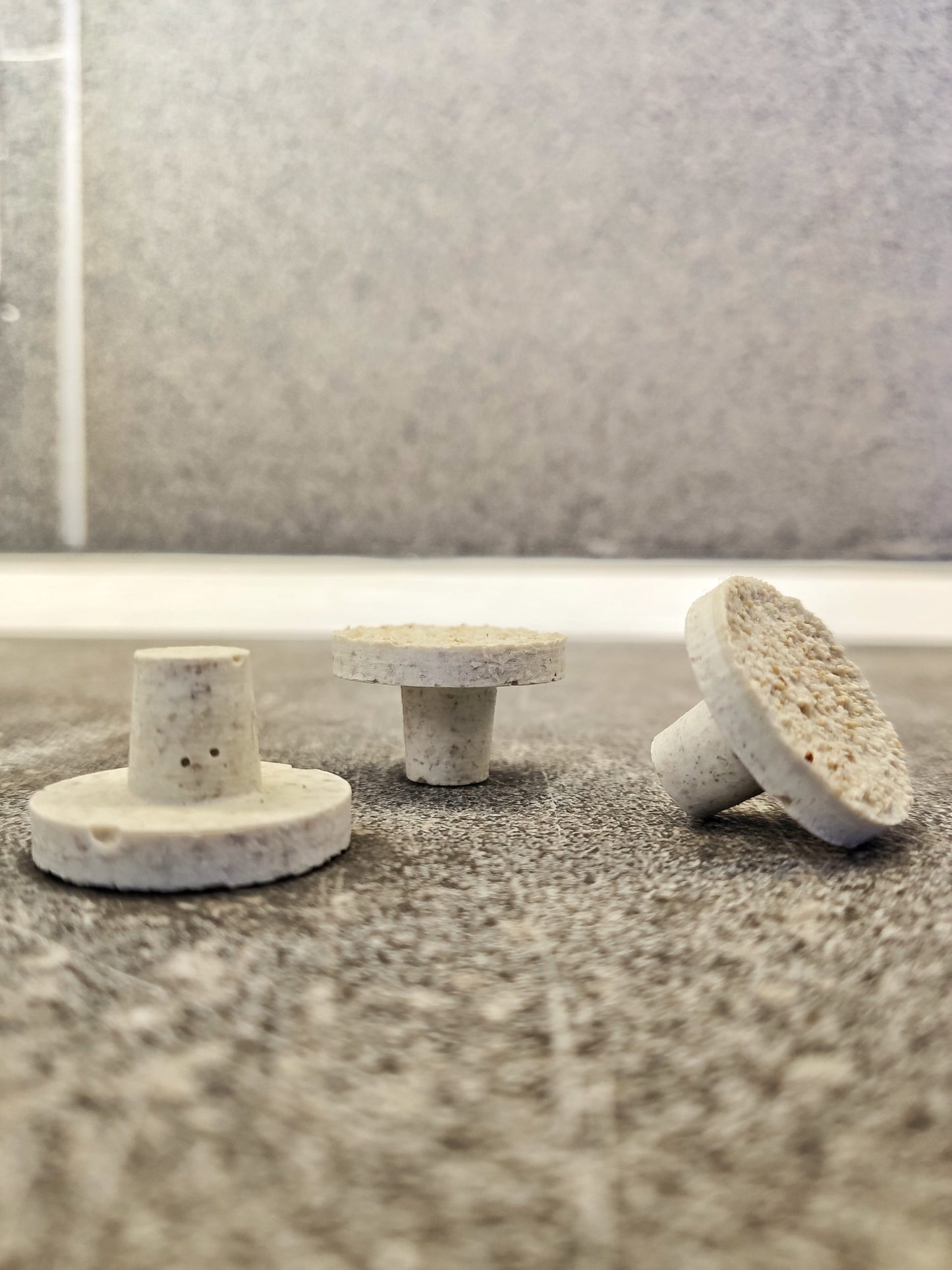 Ablegersteine/Reefplugs 3cm durchmesser 10 Stück LPS